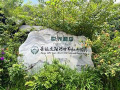 -普洱太阳河森林公园