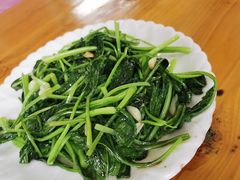 清炒菜心-瑶家饭庄