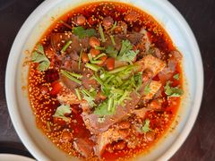 -陈麻婆豆腐总店