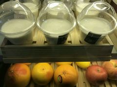 -油梨树 AVOCADO TREE(亮马桥店)
