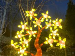 -南宫五洲植物乐园