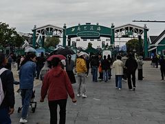 -荷兰花海