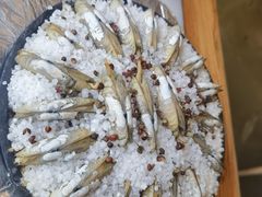 蛏子-华盛丰温州大排档(东三环南路店)