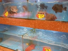 水产区-德兴海鲜渔港(辉煌大厦店)