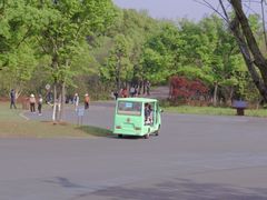 -盘龙城国家考古遗址公园