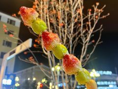-长白山华美胜地滑雪场