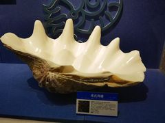 -大连自然博物馆
