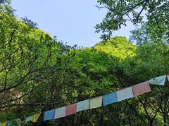 -抱龙峪