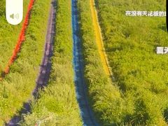 -南戴河国际娱乐中心