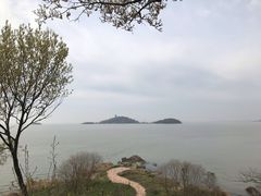 -上海市保健医疗中心(华东疗养院)