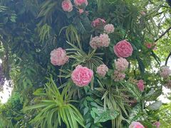 -上海静安香格里拉大酒店