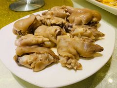 -丁老爷子苏香圆
