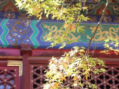 -香山公园