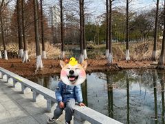 -白塘生态植物园