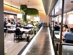 -阿露佳·舌尖上的安吉菜