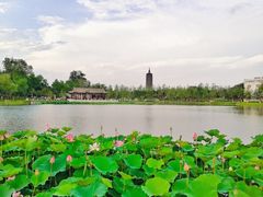 -西海子公园