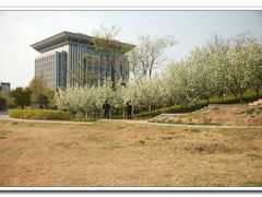 -河南财经政法大学(郑东校区)