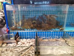 -鹿客臻鲜海鲜自助餐厅(永旺店)