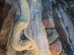 -新疆天山野生动物园