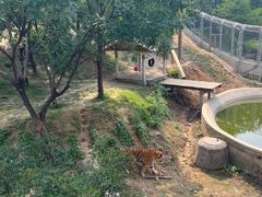 -石家庄市动物园