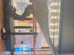 -CGV影城(壹方城IMAX店)