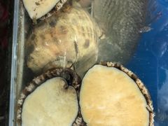 -宾朋海鲜特色美食餐厅·纯手工鲅鱼水饺(兴海路店)