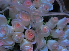 -循礼门鲜花花市(武汉循礼门店)