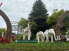 -贵州森林野生动物园
