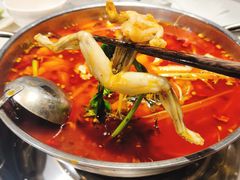 -蛙蛙鸡冷锅鱼(驷马桥店)