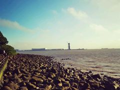 -吴淞炮台湾湿地森林公园烧烤区