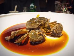 醉蟹-成隆行·蟹王府(九江路店)