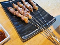 只撒盐的羊肉串-蒙料·手把肉(望京店)