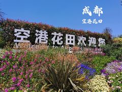 -空港花田景区