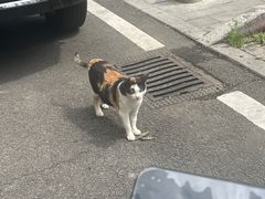 -福州肆爪动物医院