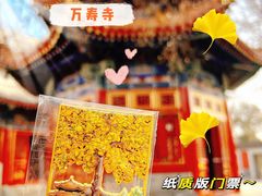 -北京艺术博物馆(万寿寺)
