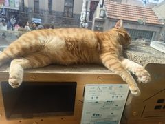 -南枝小馆(银鱼巷店)