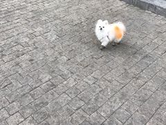 -鲜鱼口老字号美食街