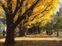 -北海道厅旧本厅舍(旧本庁舎)