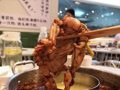 -蛙两只美蛙鱼头火锅(恒茂店)