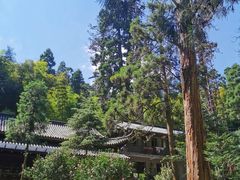 -东天目山风景区