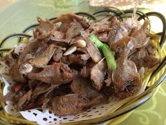 四季园农家饭店-四季园农家乐