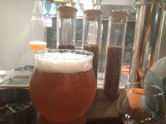 -不误正夜精酿啤酒馆(新华公园店)