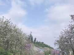 -小南山公园