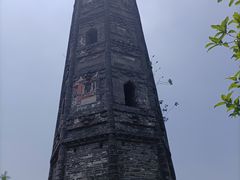 -上海佘山国家森林公园天马山园