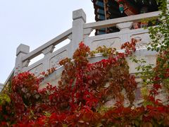 -白塔山公园
