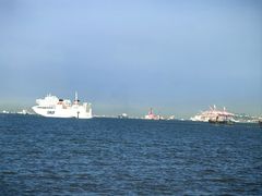 -上海吴淞炮台湾国家湿地公园