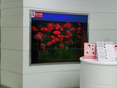 -雅悦齿科(顾村公园店)