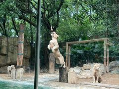 -广州长隆野生动物世界