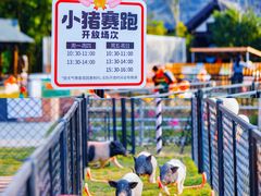 -太阳岛旅游度假区