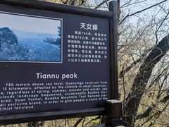 -天女山森林公园